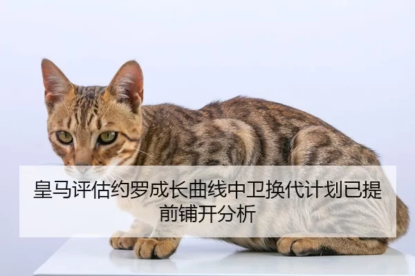 皇马评估约罗成长曲线中卫换代计划已提前铺开分析