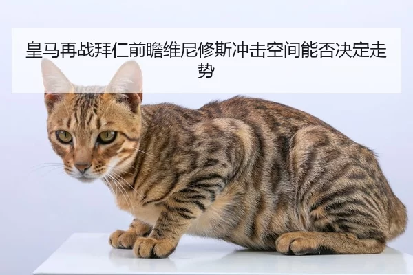 皇马再战拜仁前瞻维尼修斯冲击空间能否决定走势