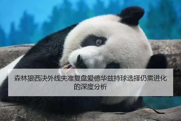 森林狼西决外线失准复盘爱德华兹持球选择仍需进化的深度分析