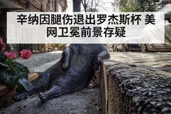 辛纳因腿伤退出罗杰斯杯 美网卫冕前景存疑